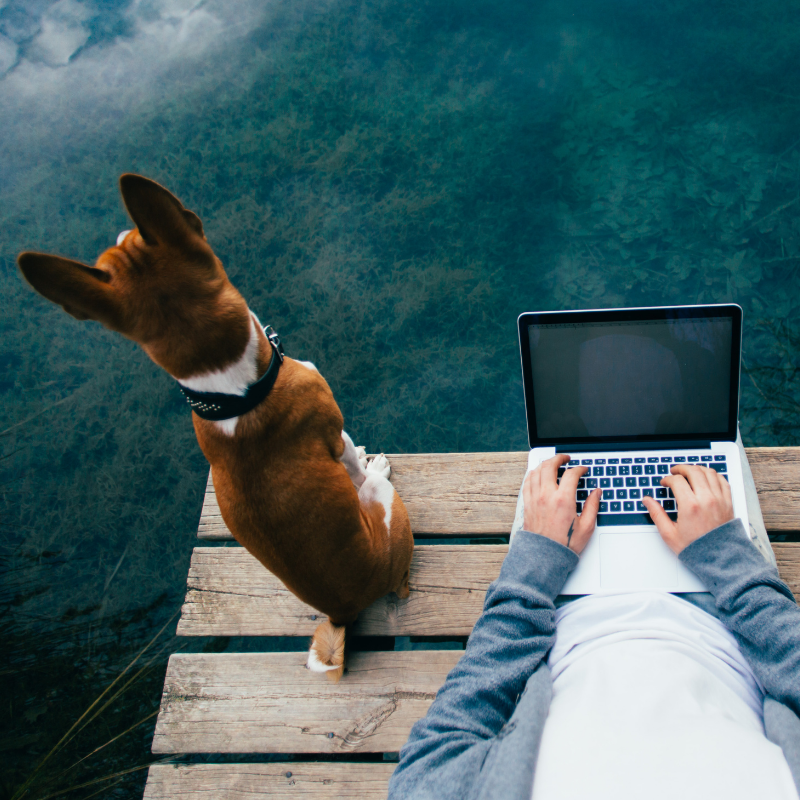 Devenir Freelance Eddwin